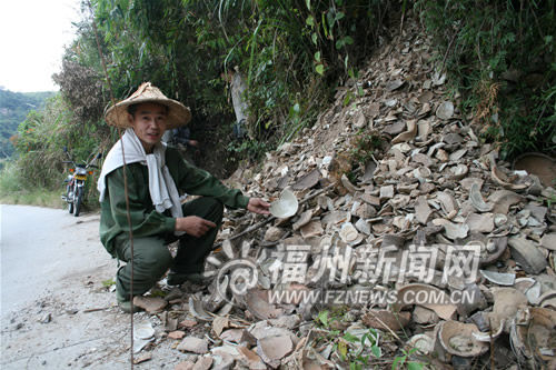 福建千年窯址遭盜挖 殘破瓷片傾瀉山野(組圖)