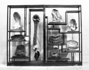 T׵Ʒղ֮񡷣\(yn)˾Cϲչ˂y(tng)ĵZ(y)