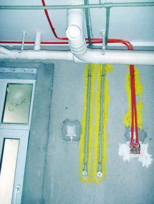 �l(w��i)���g�b��