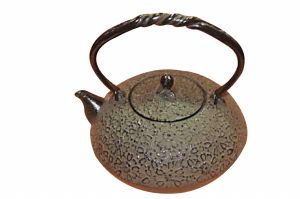 ձϲF؉ĸʽǳƯ