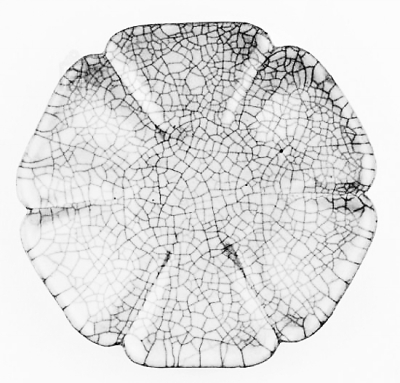 δGڹʌmܵpһʌmԺkͨ^ýw(hu)f