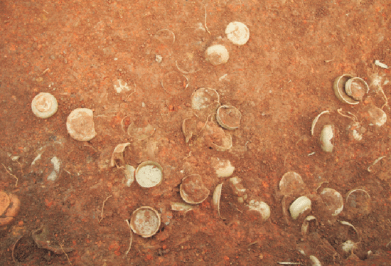 火燒山窯址原始瓷地層堆積 火燒山窯址原始瓷地層堆積