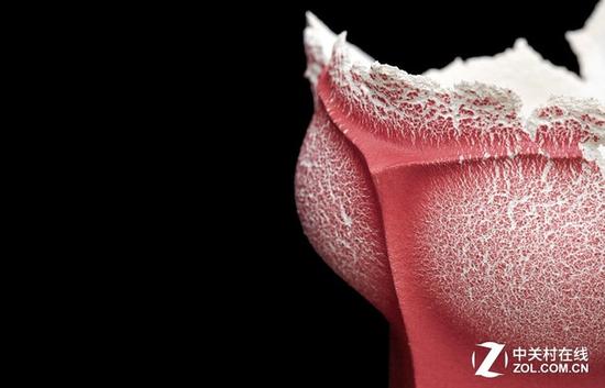 來一張細(xì)節(jié)展示