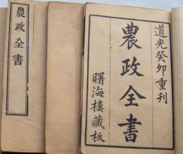 zIմɡ~ɽկıɽկʷ