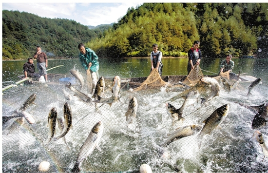 ����ɶ���������Ȫ��̽�ش�퍄��� ����ǧ�Žz·